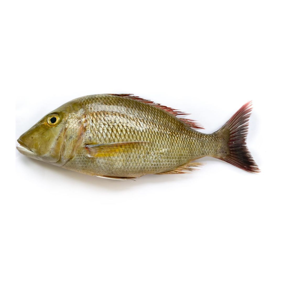 EMPEROR LETHRINUS FILLET SPP 6-8OZ/10LB