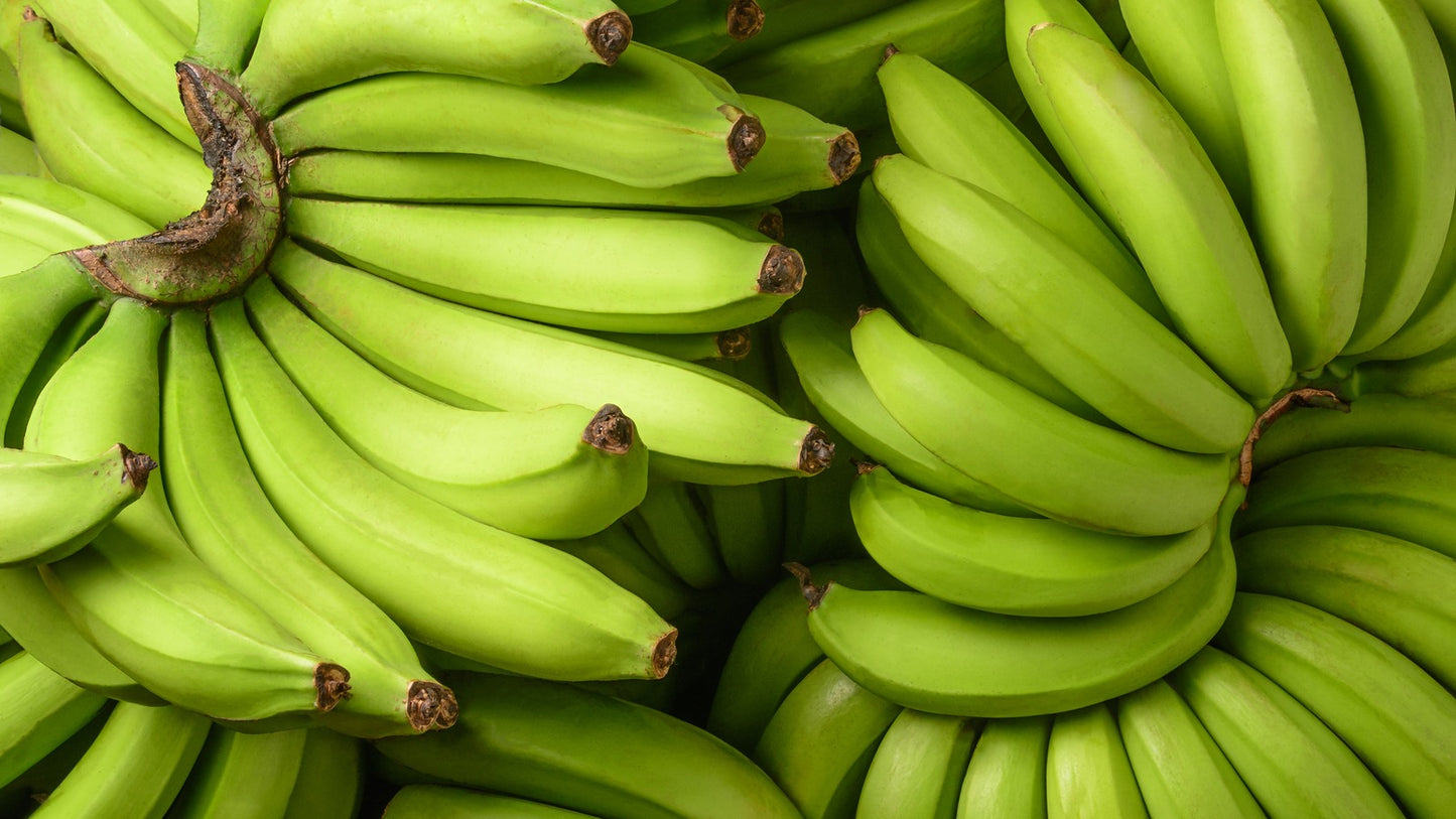GREEN BANANAS / CASE