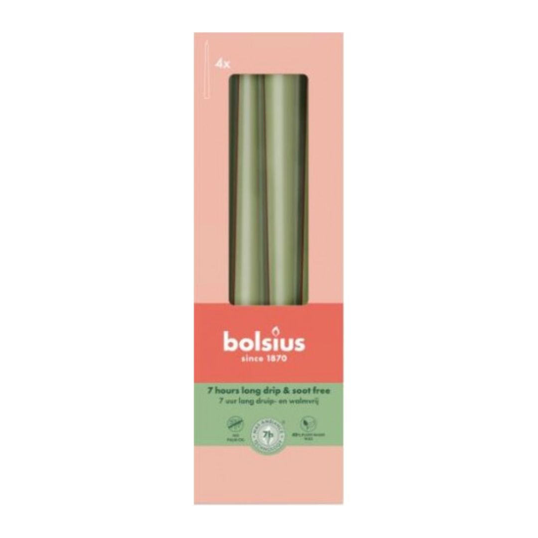 Gothic Candles 245/24 Box 4 Fresh Olive