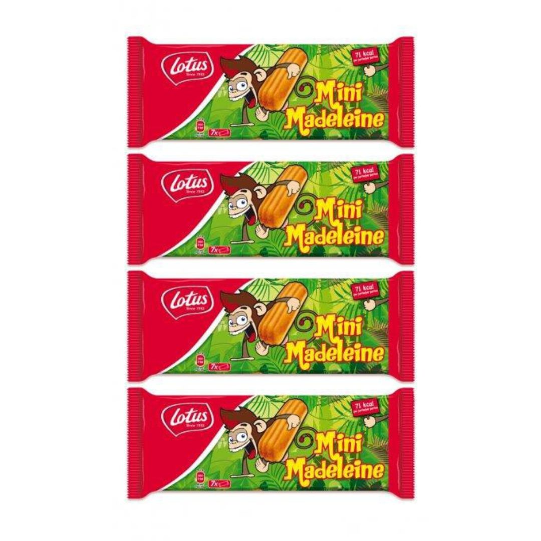 LOTUS MINI MADELEINE 119GR / 10