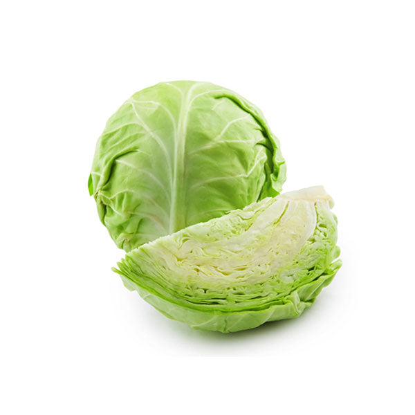FRESH VEGETABLE CABBAGE GREEN 55LB/CS