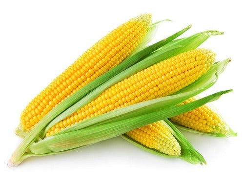 VEGETABLE CORN YELLOW / EACH 30LB/CS