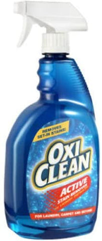 OXI CLEAN DISHWASHER ACTION STAIN REMOVER 31.5OZ