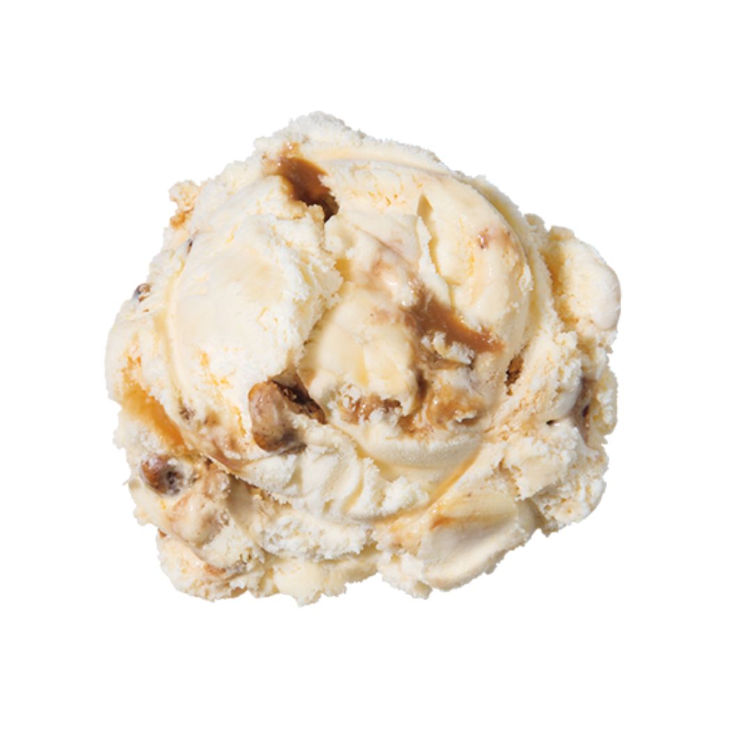 NESTLE PREMIUM PRALINE PECAN 1 x 3 Gallon