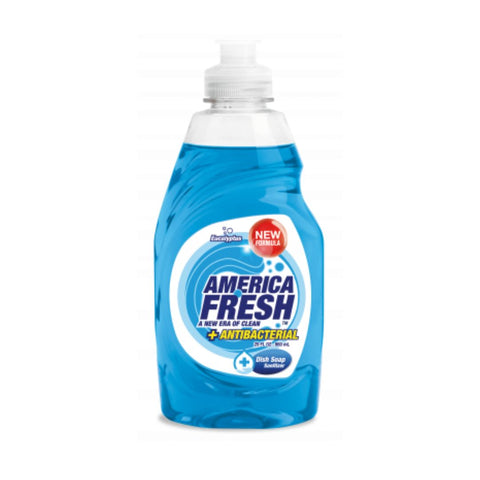 AMERICA FRESH Dish Washing SOAP ANTIBACTERIAL 24/17OZ