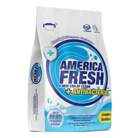 America Fresh DETERGENT EUCALYPTUS 10 x 1KG