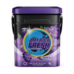 America Fresh DETERGENT DARK CARE BUCKET VIOLET 1 / 4KG