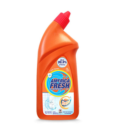 America Fresh TOILET BOWL CLEANER 12 / 750ML