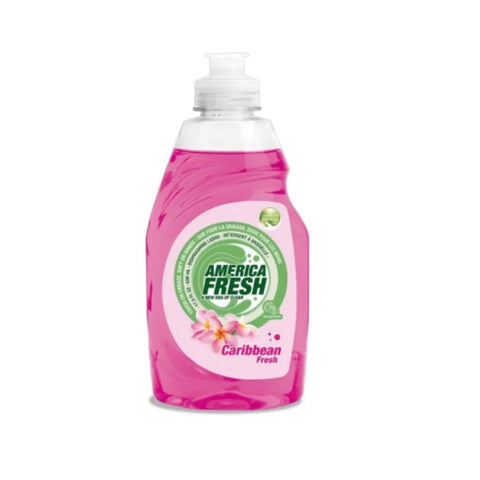 AMERICA FRESH Dish Washing SOAP FRESH 24 / 17.5OZ