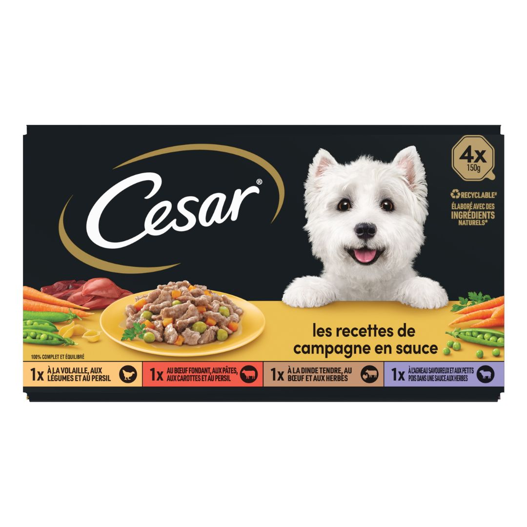 CESAR CAMPAGNE EN SCE 4 / 150g / 6