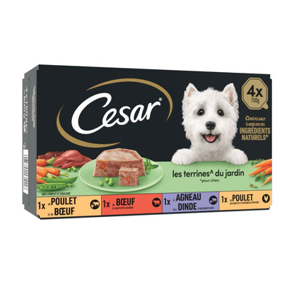 CESAR TERRINE JARD 4V 4/150g/6