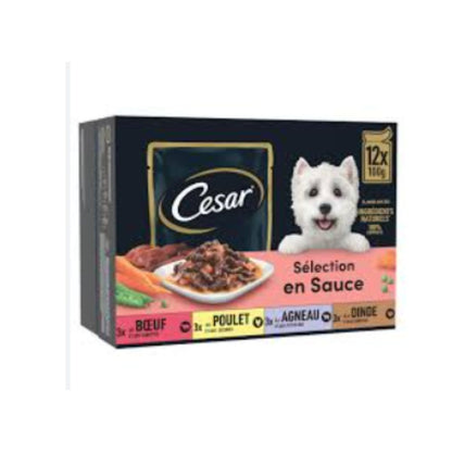 CESAR POCHON ADULT 12 / 100g / 4