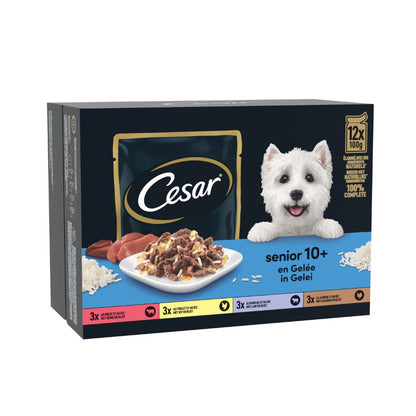 CESAR POCHON ADULT 12 / 100g / 4