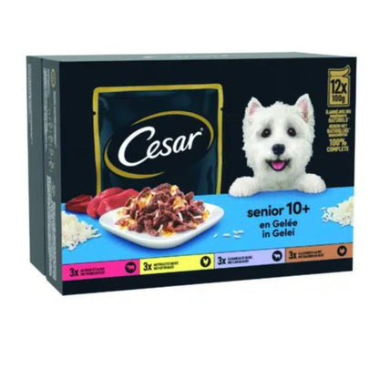 CESAR POCHON SR 12 / 100g / 4