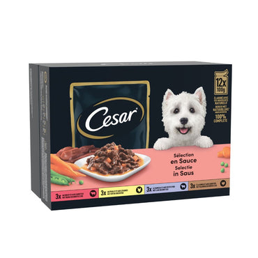 CESAR POCHON SENIORR 12 / 100g / 4
