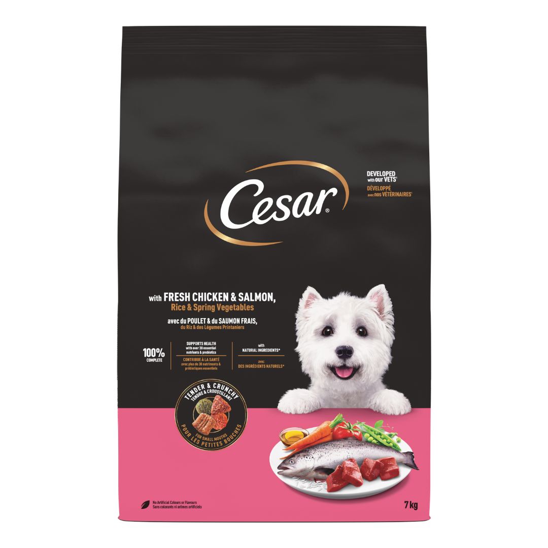 Cesar Adult Dry Dog Food Chicken, Salmon & Vegetables 1.4kg