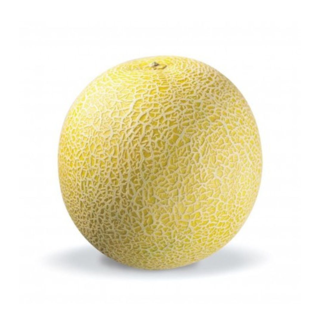 A.G.F. Galia Meloen Import 5 x 1 St