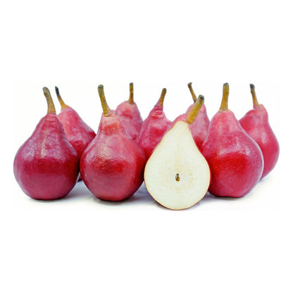 A.G.F. PERENROOD 200GR / 12