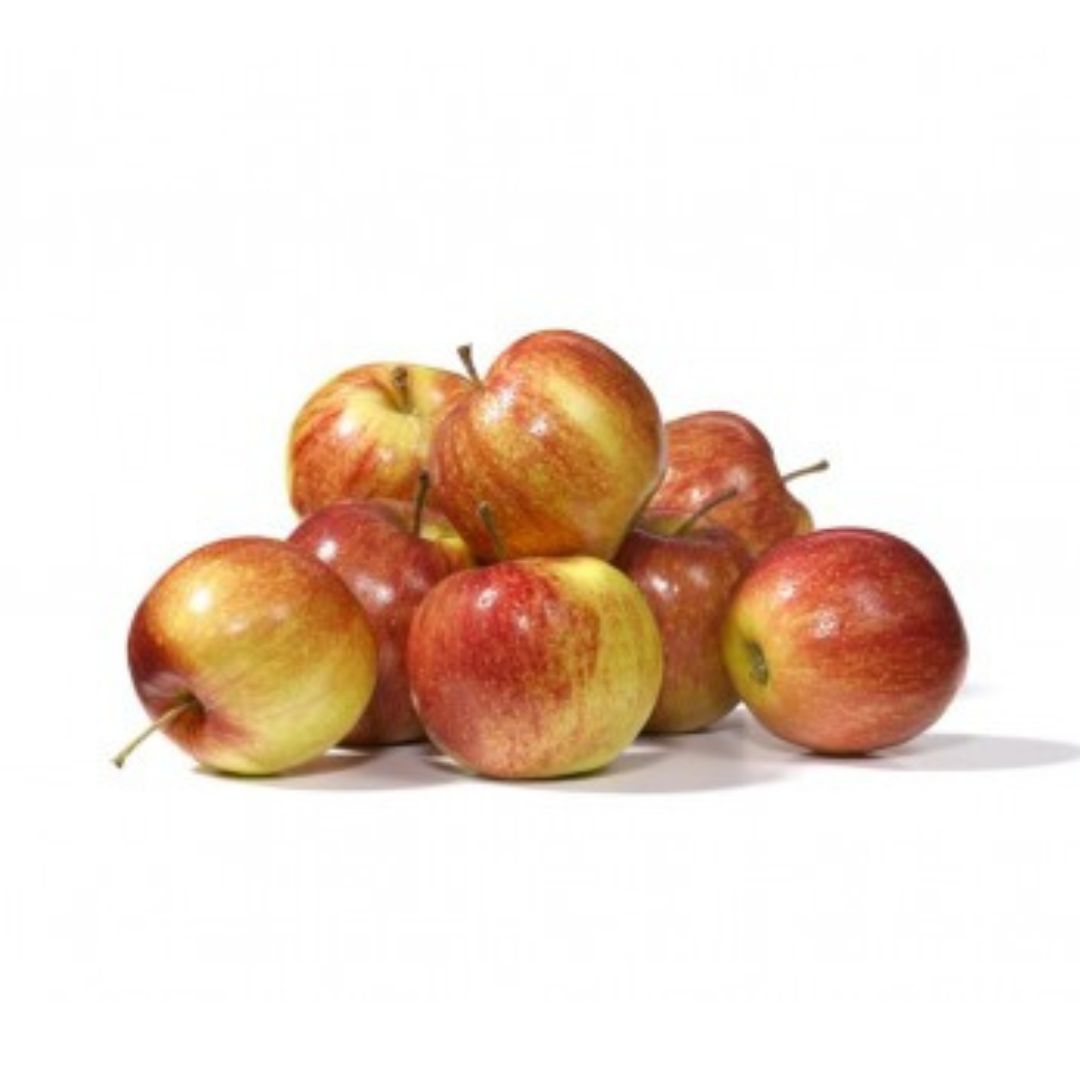 A.G.F. JONAGOLD B VERPAKT 1500GR