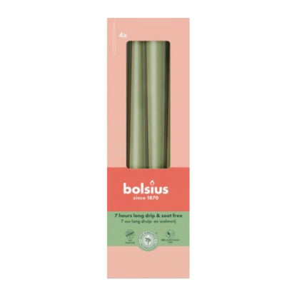 Gothic Candles 245/24 Box 4 Fresh Olive