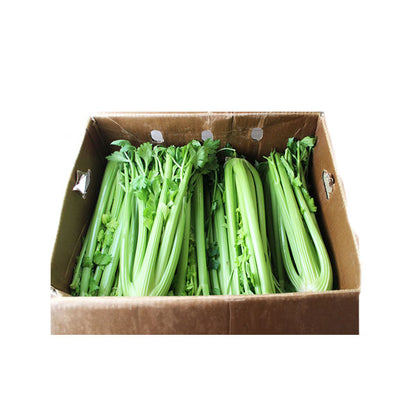 CELERY PREM SLVD 30ct 48LB