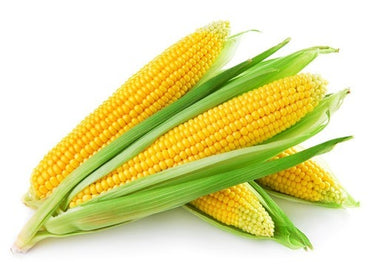 VEGETABLE CORN YELLOW / EACH 30LB/CS