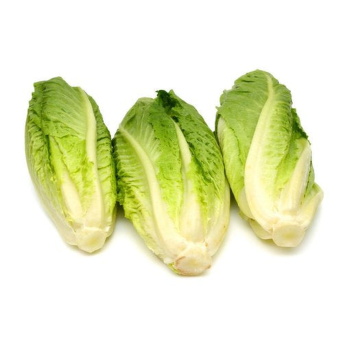INDIAN Vegetable LETTUCE ICEBERG CELLO 30CT/40LB