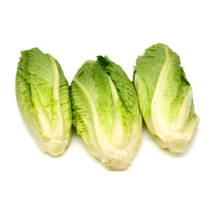 INDIAN Vegetable LETTUCE ICEBERG CELLO 30CT/40LB
