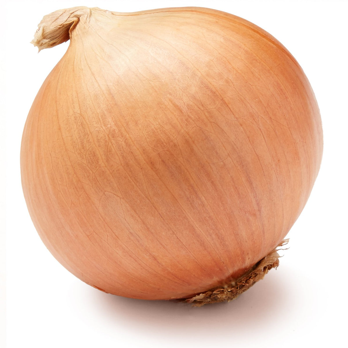 VEGETABLE ONION YELLOW MEDIUM 50LB/C