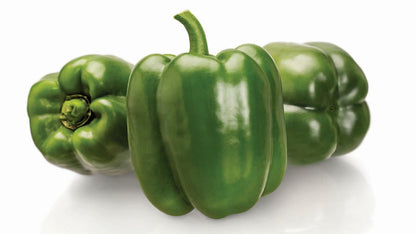 Fresh Vegetable GREEN PEPPER JUMBO 20LB / CS