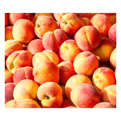 Fresh Fruits PEACH YELLOW V/F 3INCH