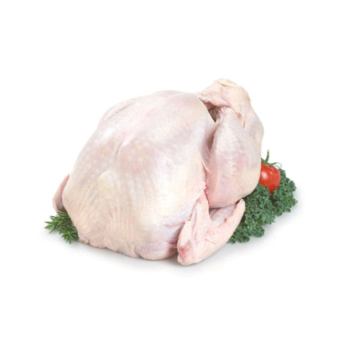 FROZEN YOUNG TURKEY WHOLE / 20 kg