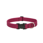 Eco Dog Collar, Adjustable, Berry, 1 x 12 to 20-In.