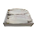 S/F TILAPIA FILLET 2LBS