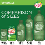 CANADA DRY GINGER ALE, 12 FL OZ CANS, 12 CT (24 PACK) | Divico Cash & Carry Sint Maarten