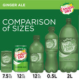 CANADA DRY GINGER ALE, 12 FL OZ CANS, 12 CT (24 PACK) | Divico Cash & Carry Sint Maarten