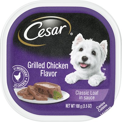 CESAR CANINE GRILLED CHICKEN3.5OZ - 24Pack