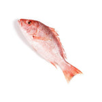RED SNAPPER WHOLE& CLN 10LBS
