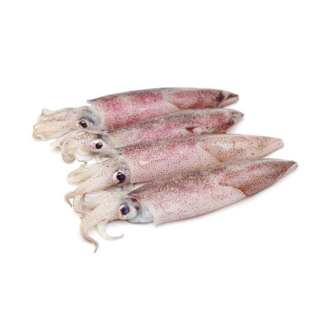 Whole Patagonian squid 1kg