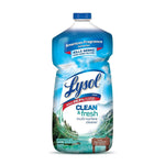 Lysol MultiSur C-Adirond 9/40z