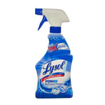 LYSOL BATH POWER TRIG 22OZ / 6