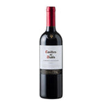 CASILLERO CABERNET SAUVIGNON 1 X 750ML