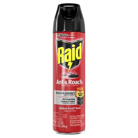 RAID ANTS & ROACH OUTDOOR 17.5OZ/12/CS